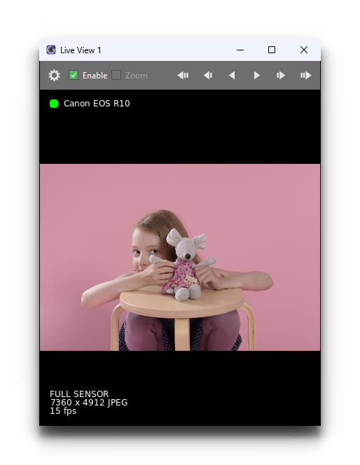 _images/cg6_windows_liveview.png