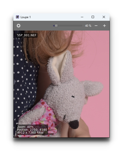 _images/cg6_windows_loupe.png
