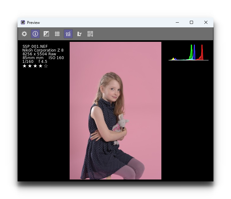 _images/cg6_windows_preview.png